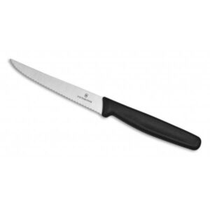 Barknife Victorinox 21-10cm